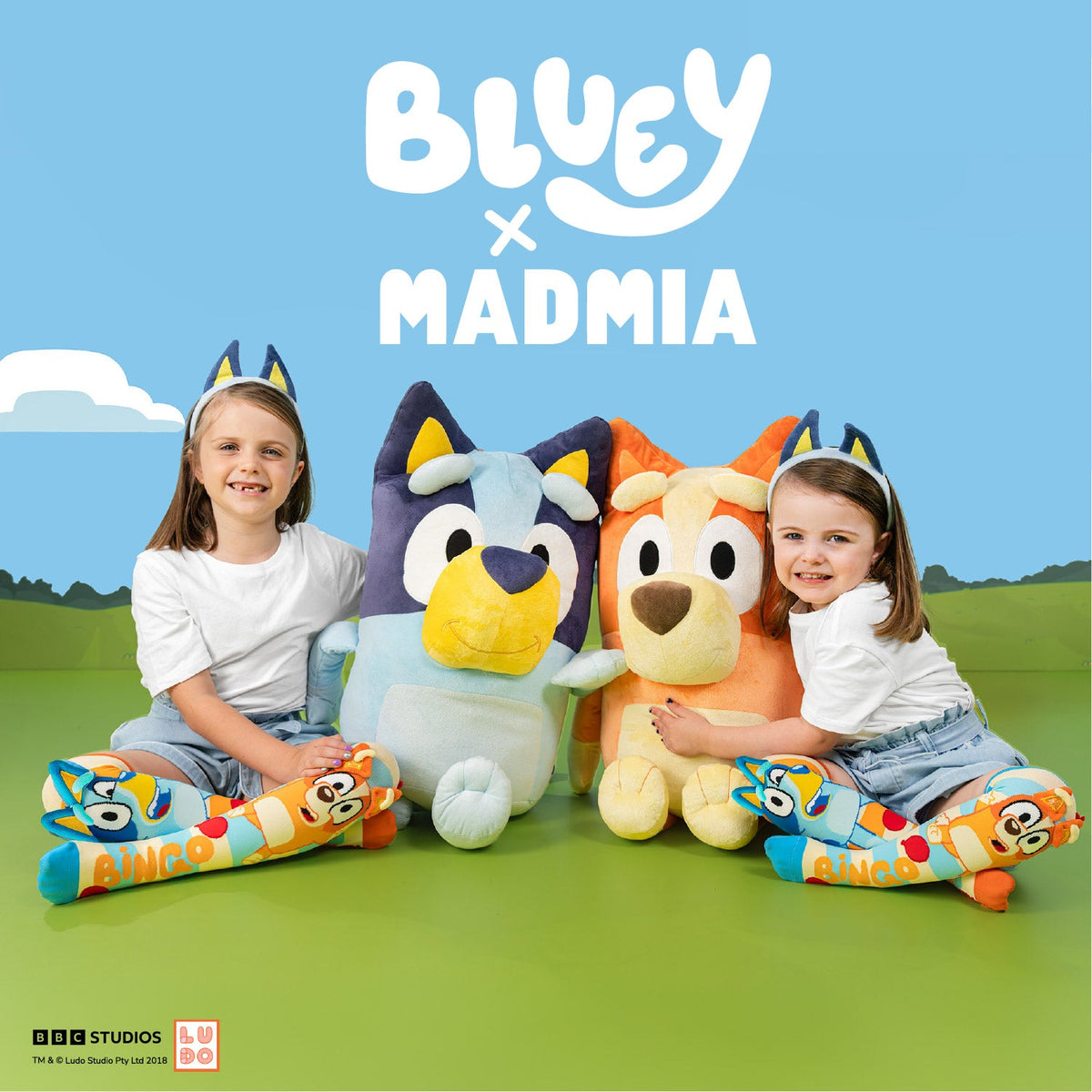 BLUEY SOCKS