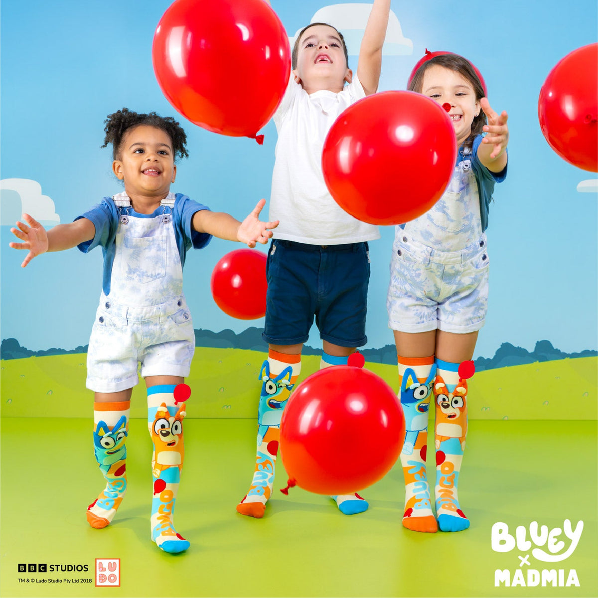 BLUEY SOCKS